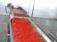 Vacuum Concentrate Tomato Paste Production Line With Brix 28%-30% / 30%-32% / 36-38%