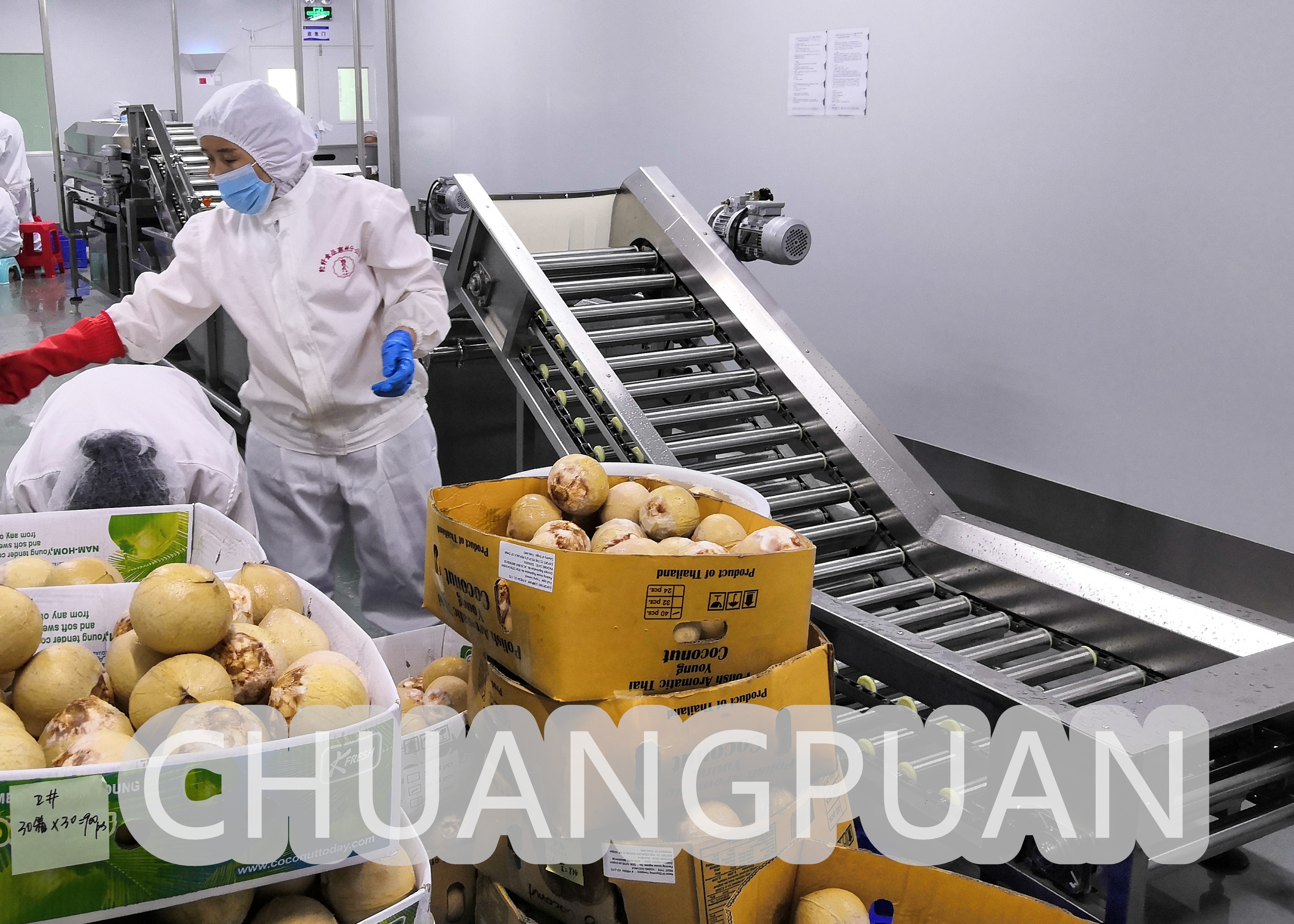 Coconut Processing Machine