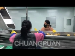 कारखाने में फलों का रस कैसे तैयार किया जाता है?आइए देखते हैं कि पीयर जूस प्रसंस्करण लाइन कैसे काम करती है