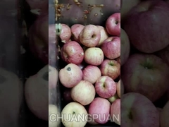 क्या आप एचपीपी जूस जानते हैं?चलो देखते हैं कि एप्पल जूस उत्पादन लाइन कैसे काम करती है