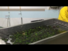 एचपीपी या ठंडा एवोकैडो पाउडर कैसे प्रसंस्करण करें?