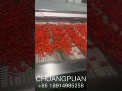 क्या आप जानते हैं कि समुद्री गिलहरी का रस कैसे बनाया जाता है? चलो एक साथ देखते हैं